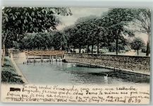 Morges 1908 Schwäne im Teich