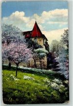 8212 Neuhausen am Rheinfall - Schloss Laufen Blühende Bäume