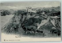 6410 Rigi Kulm - Gasthaus Rigi Kulm Kuhherde