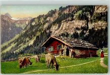 Serie XXV 1128 Alphütte Kühe auf der Weide