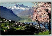 Glion Blühende Bäume