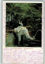 Zürichberg 1902 Elefantenbach