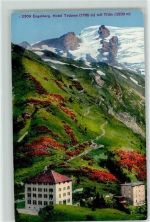6390 Engelberg - Hotel Trübsee Titlis