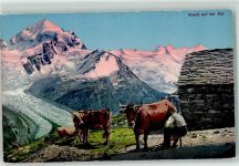 Abend auf der Alp Senn beim Kuh melken