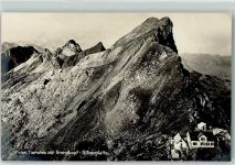 Tierwies - Grenzkopf Silberplatte