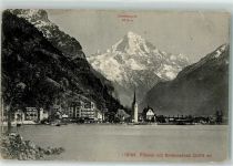 6454 Flüelen Gebrauchsspuren Bristenstock