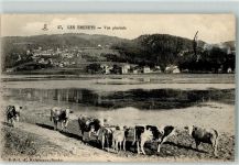 Les Brenets 1912 Kühe am See