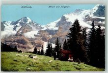 Mettlenalp Möch Jungfrau