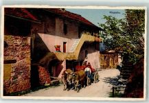 6573 Magadino - Tessinerhaus Kühe am Karren