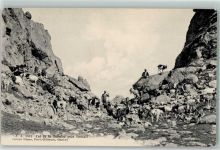 Col de la Gueulaz Inn Ziegenherde