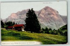 Adelboden BE Grosse Schirmtanne Gross Lohner