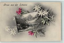 Seealpsee 1907 Alpenrosen und Edelweiss