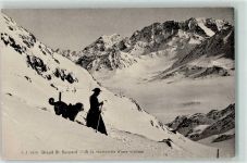 Hospiz Großer Sankt Bernhard Pass A la recherche d une victime
