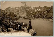 Hospiz Großer Sankt Bernhard Pass 1913 Lac Lecon Mönch mit Hunden