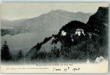 Bürgenstock 1905 Grand Hotel Park Rigi