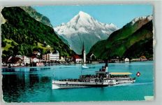 6454 Flüelen - Bristenstock Dampfer