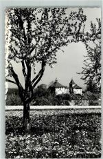 8314 Kyburg - Schloss