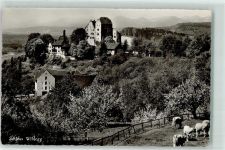 Wildegg Schloss