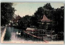 Biel/Bienne Schwäne