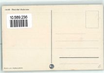 8212 Neuhausen am Rheinfall - Vogelschau Bodensee