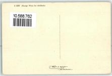 3715 Adelboden BE - Blumenwiese