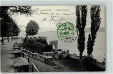 8640 Rapperswil SG 1906 - Schlossterrasse