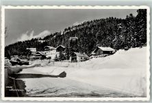 Montana Winter