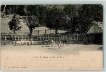 2105 Creux du Van Travers 1903 Gebrauchsspuren Parc Rehe