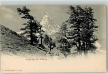 Riffelalp Matterhorn