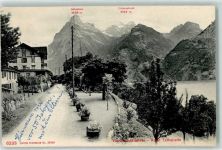 Sisikon Hotel Tellsplatte