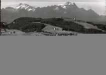 Trogen
