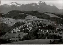 Trogen