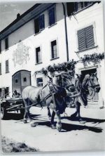 8213 Neunkirch - Bauernhof Kutsche