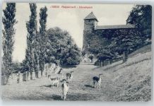 8640 Rapperswil SG - Hirschpark