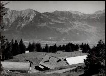 9470 Buchs SG Räfis