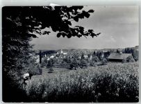 Oetwil am See