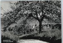 8265 Mammern - Teilansicht