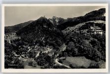 4437 Waldenburg - Kirche, Ortsansicht, Bergpanorama