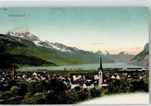 8880 Walenstadt - 1909