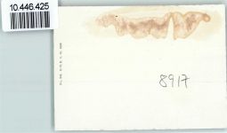 Lengnau BE Foto 10 cm x 7 cm , rückseitig Haftspuren Fliegeraufnahme