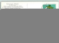 Estavayer-le-Lac Fliegeraufnahme Plage