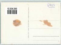 6403 Küssnacht am Rigi - Fliegeraufnahme