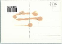 8376 Fischingen Gebrauchsspuren Fliegeraufnahme Erziehungsheim