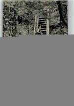 Zürich 1913 Uetliberg Leiterli