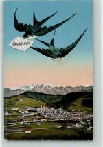 8840 Einsiedeln - Schwalben