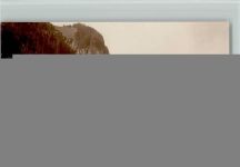 Brienz BE Schweibenalp mit Gratweid Hunde