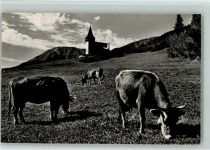 Davos Frauenkirch Blick zur Kirche Kühe