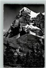 Wengernalp Hotel Jungfrau