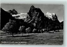 3860 Rosenlaui - B.O. Dossen- Well- und Wetterhorn Bäume