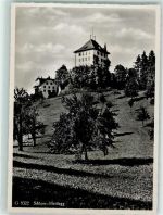 Gelfingen Schloss Heidegg